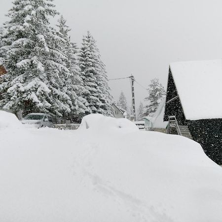 Durmitor Apartment Žabljak Exterior foto